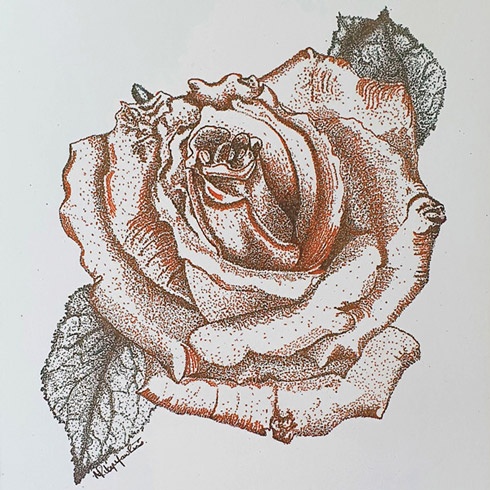 artist selling Nature prints and Gifts red dot work rose by Ann Riley-Hawkins